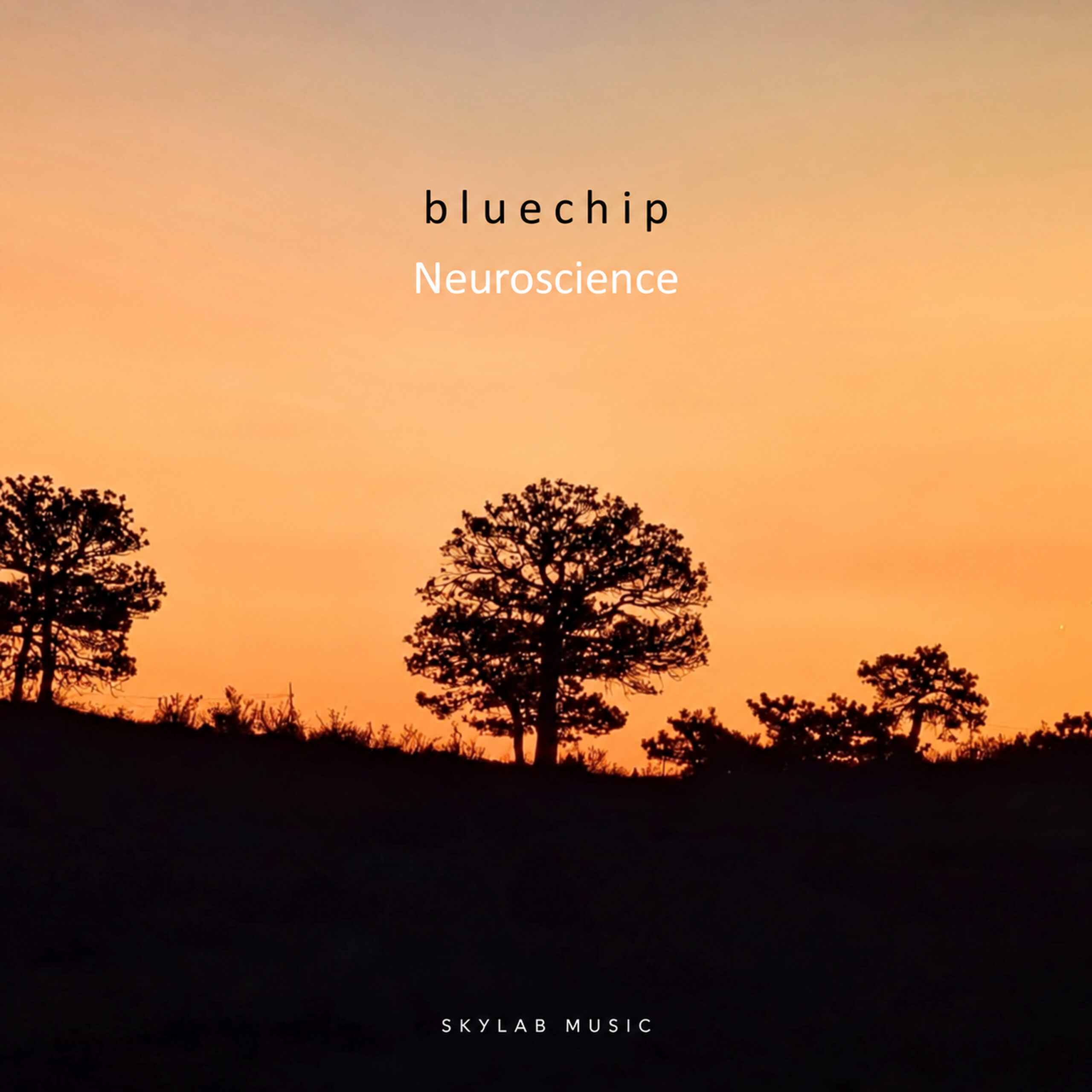 Bluechip — Neuroscience cover artwork